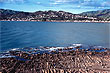 Porirua Harbour photo