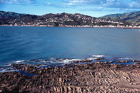 Porirua Harbour photo