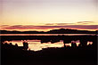 Pauatahanui Inlet photo