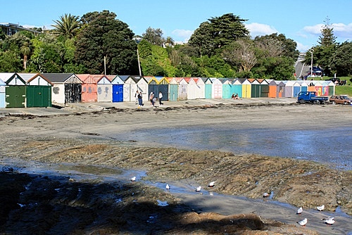 Boat Sheds photo