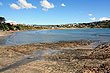 Wellington Coast photos