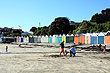 Boat Sheds photo