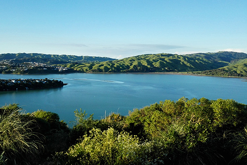 Pauatahanui Inlet Whitby photo