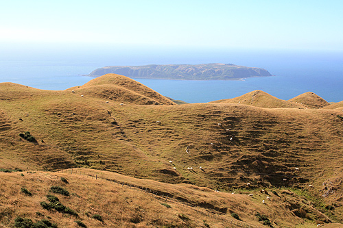 Rural View & Mana Island photo