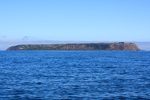Mana Island from Western Coastline photo
