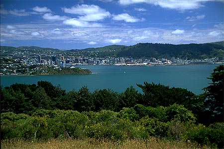 Wellington Harbour photo