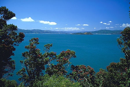 Wellington Harbour photo