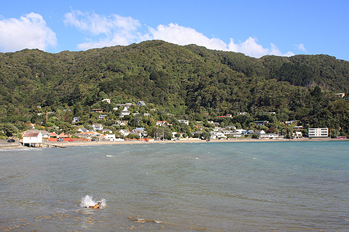 Sorrento Bay photo