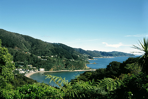 Lowry Bay photo