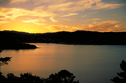 Wellington Sunset photo