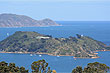 Somes Island photo