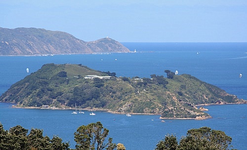 Somes Island photo