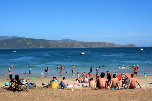 Summer at Scorching Bay Wellington photo