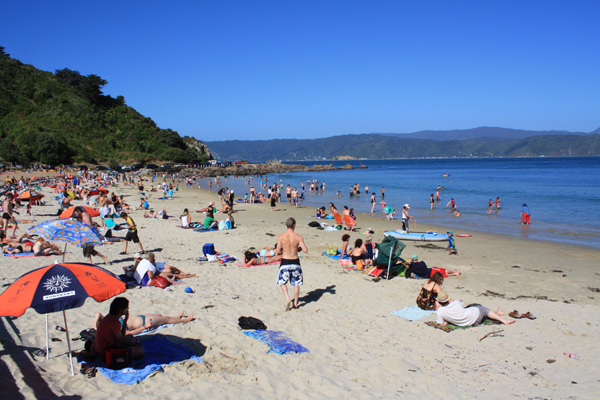 View of Scorching Bay Wellington photo