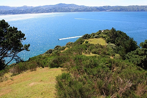 Miramar Peninsula photo