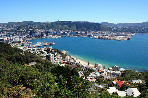Wellington City & Harbour photo