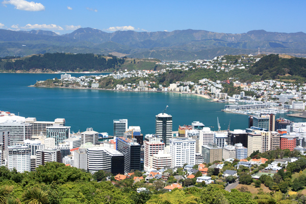 Hills and Peninsulas in Wellington photo