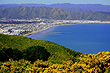 Petone Coast photo