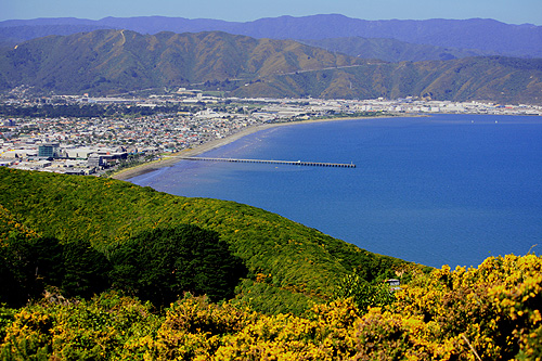 Petone View photo