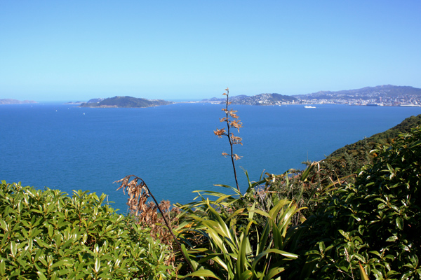 Newlands View of Harbour photo