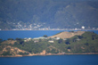 Somes Island photo