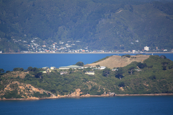 Close up view of Somes Island photo