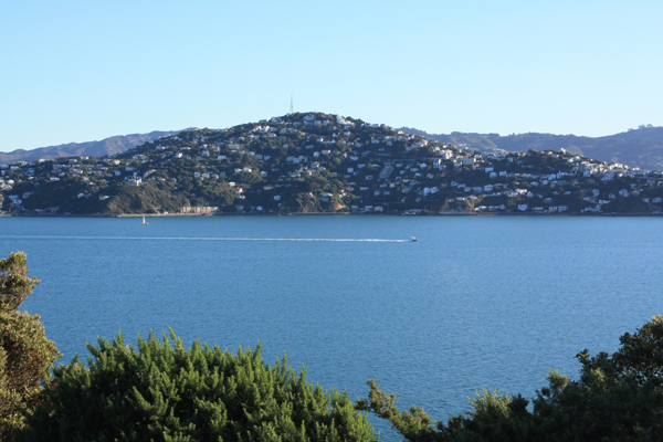 Evans Bay and Roseneath photo