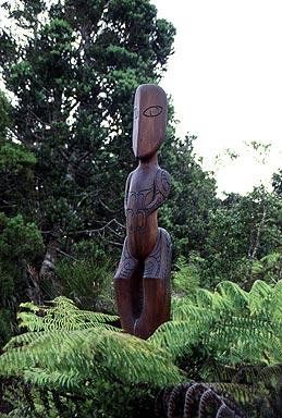 Maori Carving photo