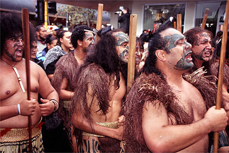 Maori Protestors photo