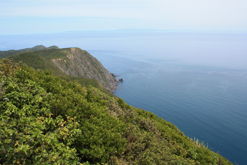 Kapiti Island / Skull Island photo