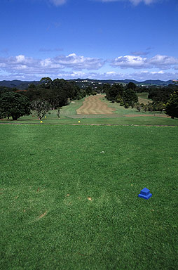 Waitangi Golf Course photo