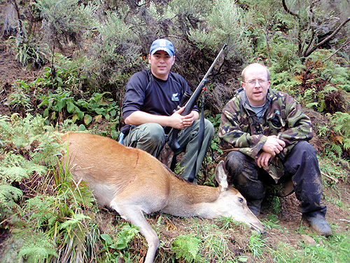 Hunting Deer photo