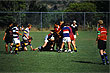 Amatuer Rugby photo