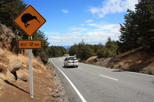 Mt Ruapehu Kiwi Road Sign photo