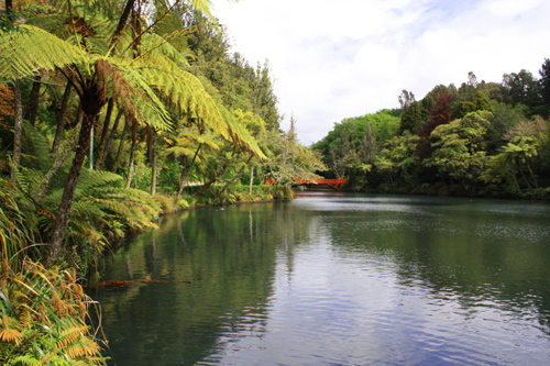 Main Lake & Ferns photo