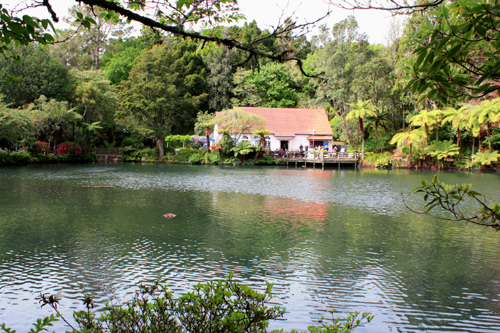 Main Lake & The Tea House photo