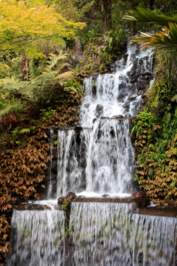 Waterfall in Pukekura Park photo