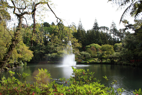 View of Fountain Lake photo