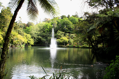 Fountain at Pukekura Park photo