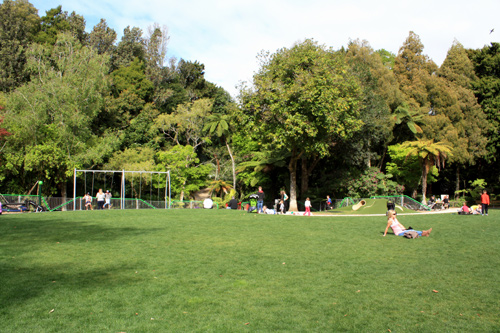 Picnic Area at Pukekura Park photo