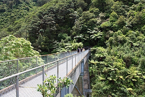 Kaitoke Park photo