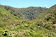 Rimutaka Hills photo