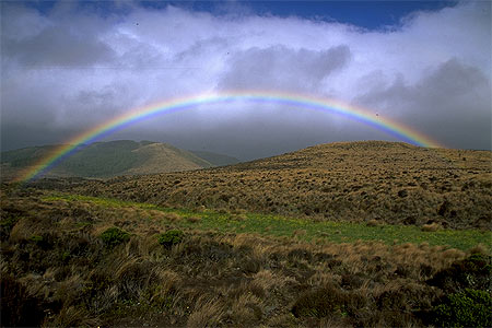 Rangipo Desert photo