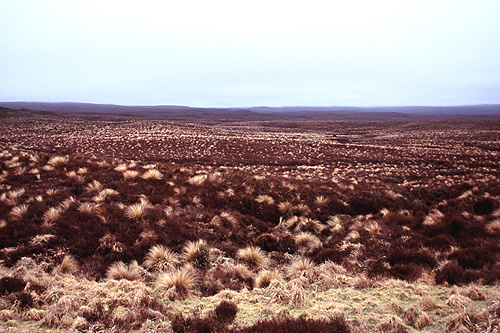 Central Plateau photo