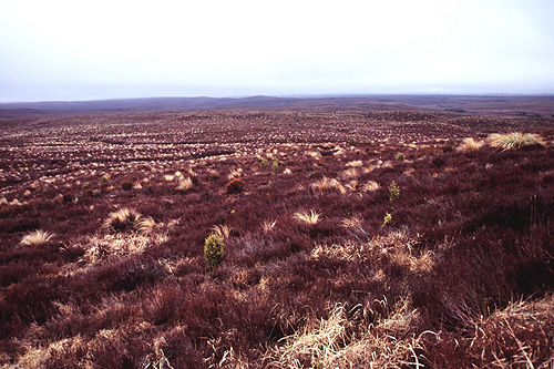 Central Plateau photo