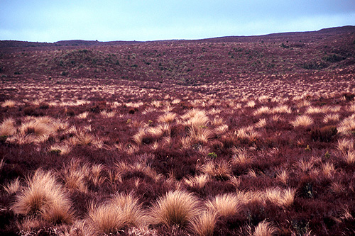 Central Plateau photo