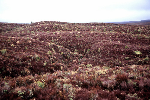 Central Plateau photo