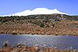 Tussock & Tarn photo