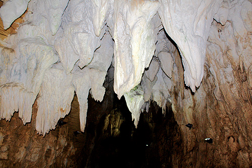 Aranui Cave Stalactites photo