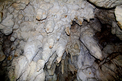 Stalactites in Aranui Cave  photo